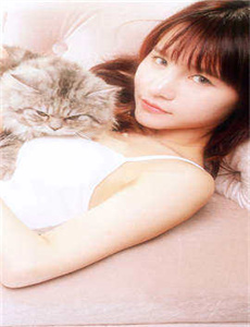 印度野生大猫