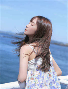 木槿花开